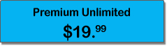 Premium VoIP Plan